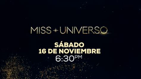 ¿cuándo Y Dónde Ver Miss Universo 2024 En Vivo