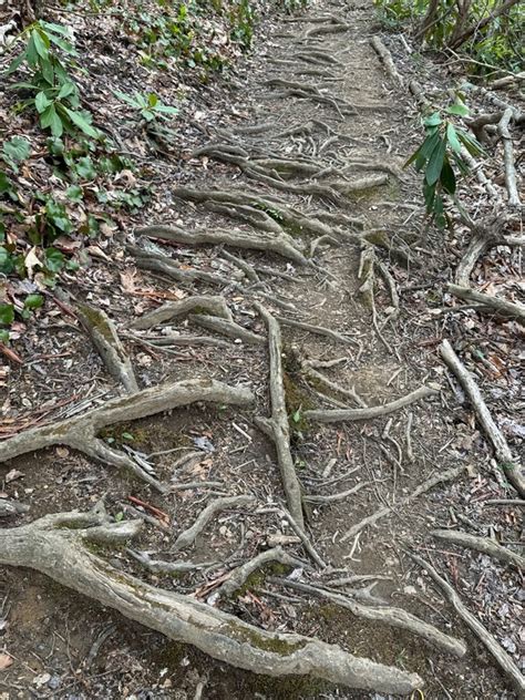 Orange Man S Appalachian Trail Journal Day Deep Gap To