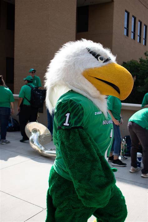 Scrappy The Unt Eagle Mascot Unt Digital Library