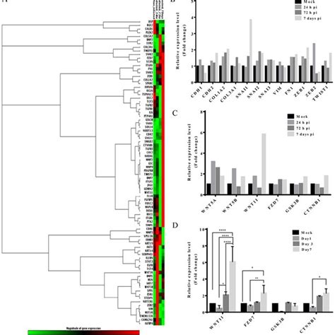 Human EMT RT 2 Profiler PCR Array Of AD169infected And Noninfected