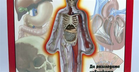 Надникни в човешкото тяло: Да разгледаме човешкото тяло отвътре