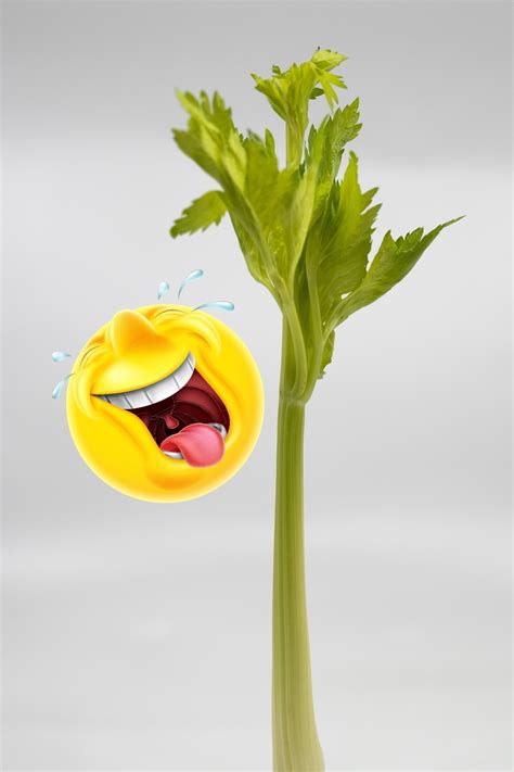 Celery Puns And Jokes That Will Make You Giggle Glory Of The Snow