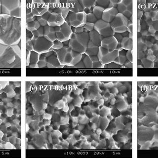 SEM Images Of Fracture Surface Of PZTBY 0 01 Prepared By A Mixed