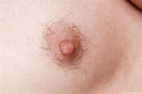 Hair Everywhere Porn Pictures XXX Photos Sex Images PICTOA