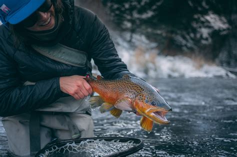 Winter Fly Fishing Guide | Blog