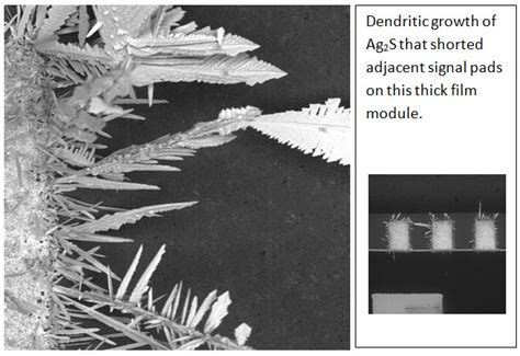 Silver Sulfide Growth - SEM Lab Inc.