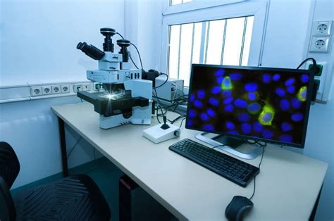 EVOS Microscopes: What Are They and Why You Might Want One