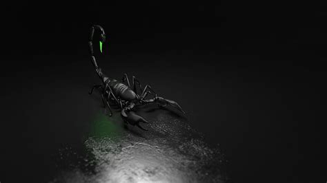 Scorpion Computer Graphics Graphic Scorpion Black Scorpion Hd