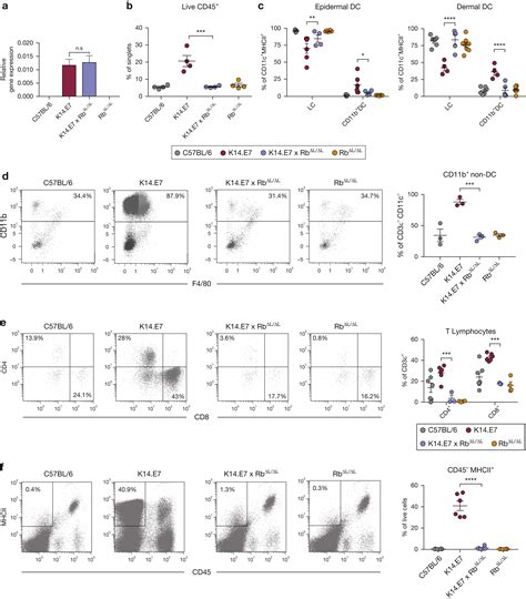 Hpv16e7 Induced Hyperplasia Promotes Cxcl910 Expression And Induces