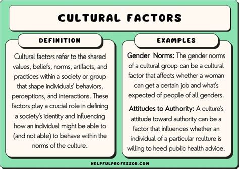 Cultural Factors Examples