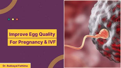 How To Improve Egg Quality For Pregnancy Step By Step