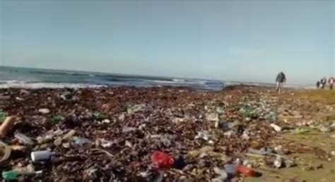 La Spiaggia Di Tor Caldara Invasa Dai Rifiuti Aprilianews It