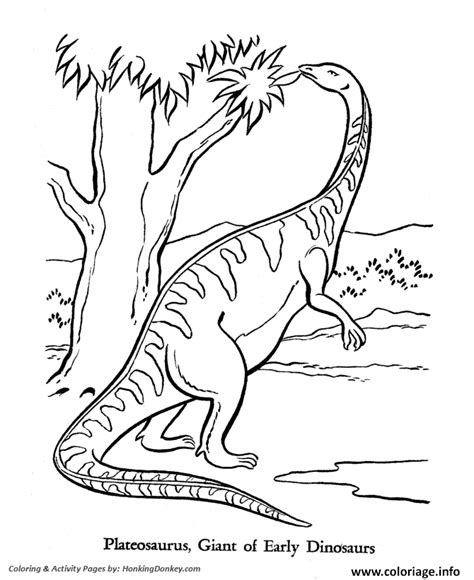 Coloriage Dinosaure Jecolorie