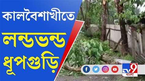 Tv9 Bangla News রাজ্যে যেন মিনি বর্ষা Youtube