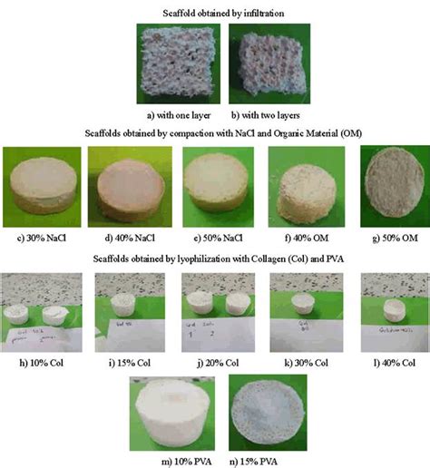 Manufacture Of Titanium Dioxide Scaffolds For Medical Applications