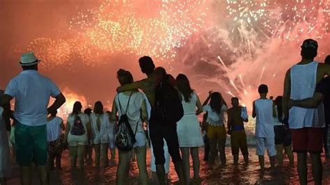 Animais e fogos de artifício como lidar o medo dos pets na virada