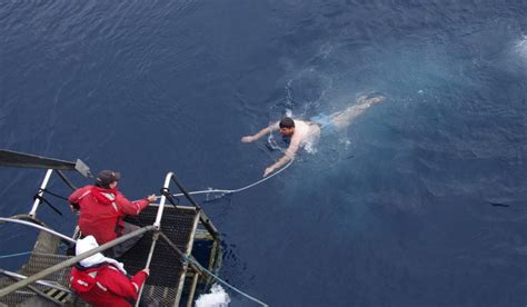 What Is The Polar Plunge Swoop Antarctica Blog