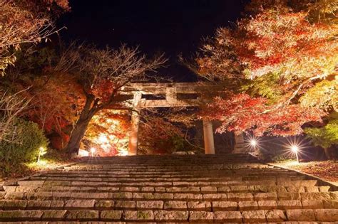 Dazaifu Tenmangu Shrine Autumn leaves When 2024 – Anime Maps