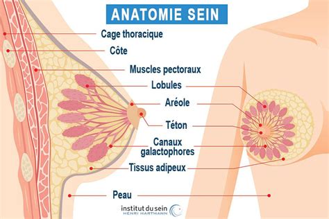 Symptômes Cancer du sein signes avant coureurs douleurs aisselles