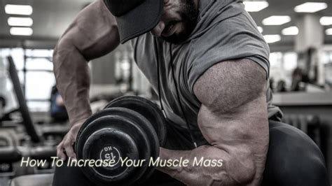 Muscle Mass How To Increase Your Muscle Mass