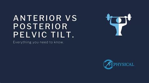 Anterior Vs Posterior Pelvic Tilt Difference And Exercises