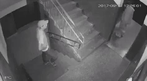Что такое Падаль это... Что значит? Значение слова.