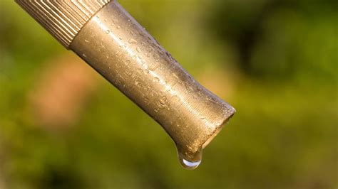 How To Fix My Garden Hose Leaking At The Nozzle A Comprehensive