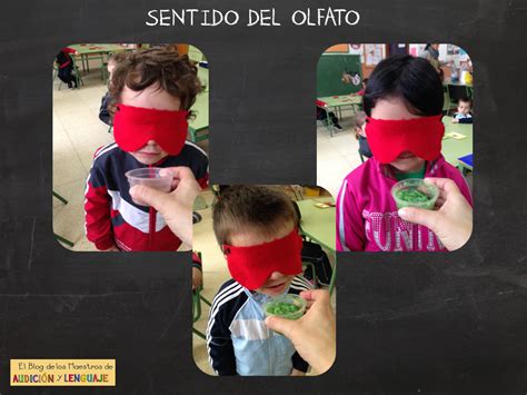 Unidad DidÁctica Los Sentidos El Olfato Parte Ii Maestros De