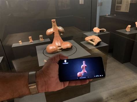 El Museo Canario expondrá la historia de Gran Canaria en el Museo