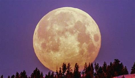 Este martes 14 de junio es la Superluna de fresa 2022 a qué hora ver