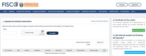 Consulta Impuesto Vehicular En Departamento De Magdalena