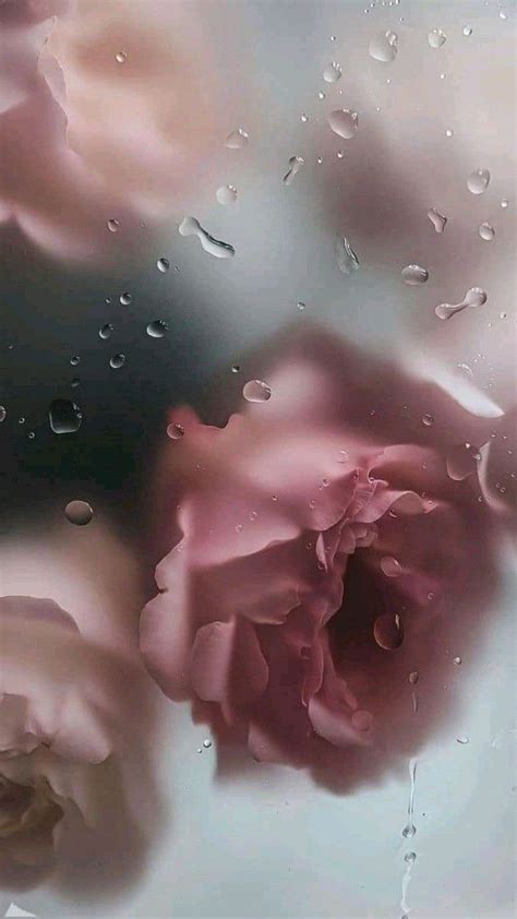 new wallpaper | Wet flowers, Vintage flowers wallpaper, Flower iphone ...