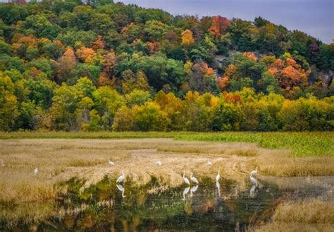 260+ Autumn Missouri Landscape Woods Stock Photos, Pictures & Royalty ...