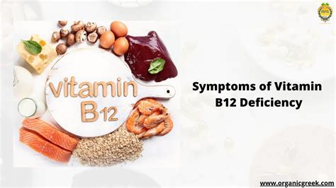 Symptoms Of Vitamin B12 Deficiency By Organicgreek Issuu