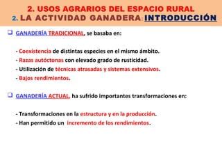 Usos Agrarios PPT