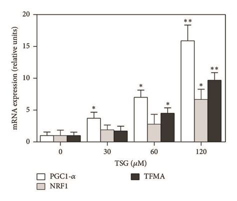 Tsg Promoted The Mitochondrial Biogenesis In Raw2647 Macrophages