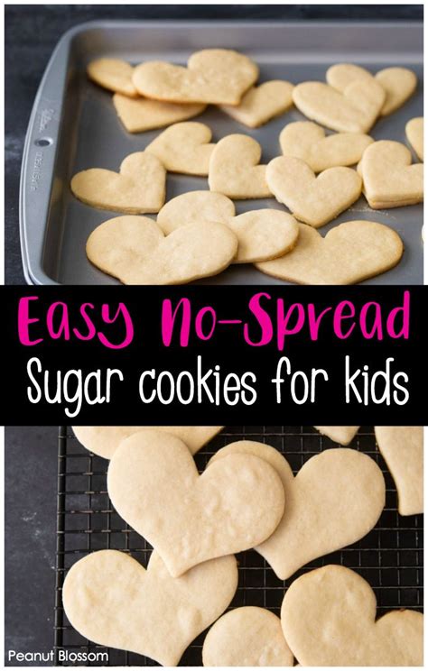 Steps to Make Easy Cookie Recipes For Kids