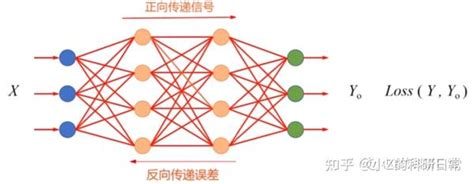 MLP神经网络多层感知机实现波士顿房价预测 知乎