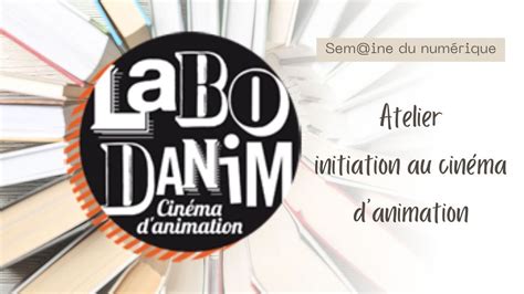 Sem ine du Numérique Initiation au cinéma d animation avec Labodanim