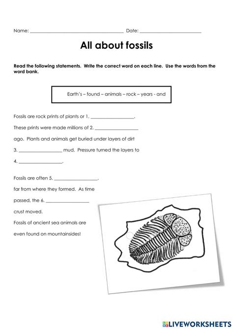 Fossils And Types Of Fossils Activities NGSS 3 LS4 1 42 OFF