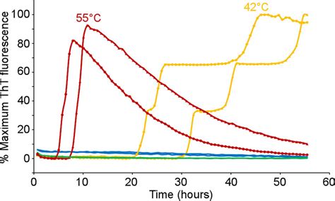 Increased Temperature Accelerated Rt Quic Detection Of Scjd In Csf