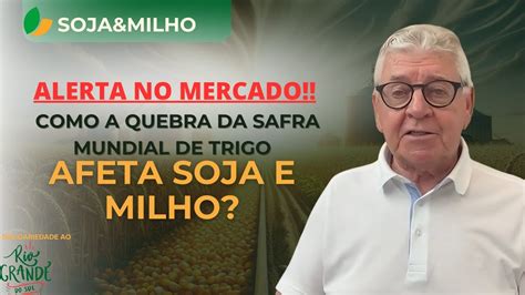 Soja Milho Alerta No Mercado Como A Quebra Da Safra Mundial De Trigo