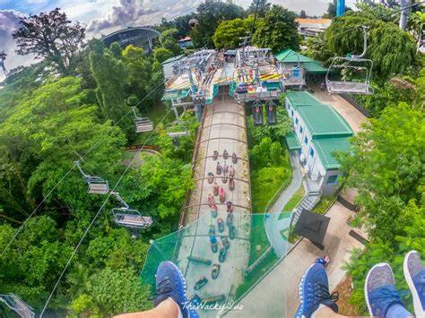 Sentosa Skyline Luge 5 Reasons Why You Should Ride On The Luge