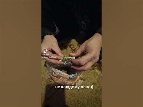 Самосад - YouTube
