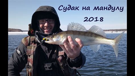 Ловля Судака на Мандулу/ апрель 2018 - YouTube