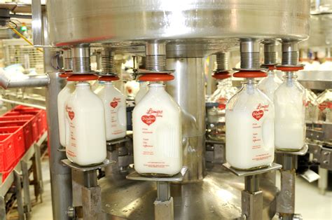 glass bottle production filling lamers dairy