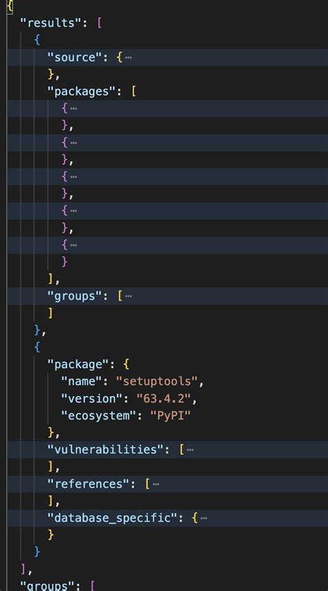 Json Out Not Always In Correct Format Issue Google Osv Scanner