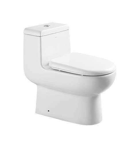 Eago Tb351 One Piece Dual Flush High Efficiency Toilet With Soft Close Seat