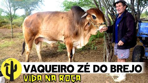 Vida Na Ro A Vaqueiro Z Do Brejo Em Seu S Tio Mostrou As