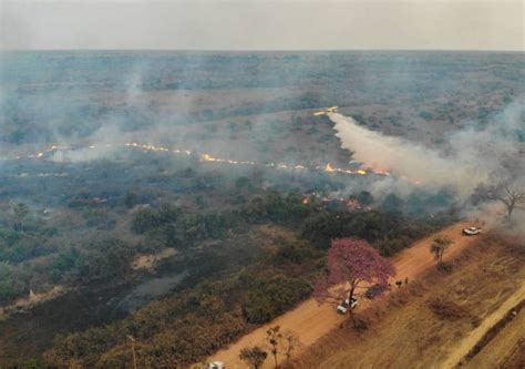 Focos de incêndio no pantanal é 900 maior em relação a 2023 segundo